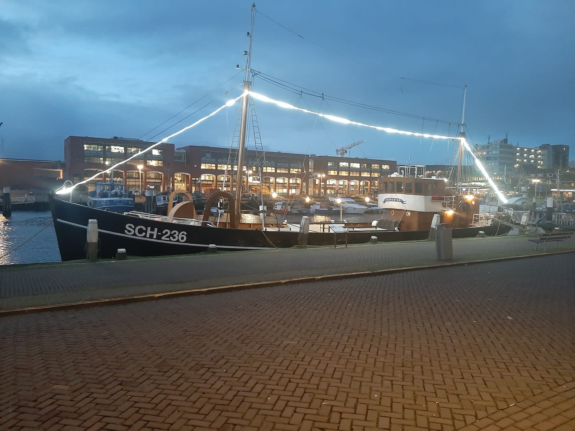 Noordster in decemberdagen